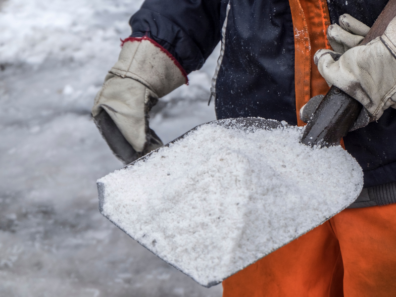 An Edmonton homeowner salting their driveway and walkway for safety during the winter.