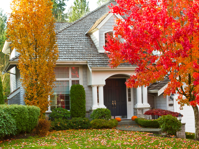 The Ultimate Guide to Home Energy Efficiency for Fall in Edmonton