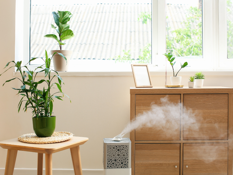 A humidifier improving indoor air quality in an Edmonton living room. 5 Simple Ways To Improve Your Home's Air Quality.