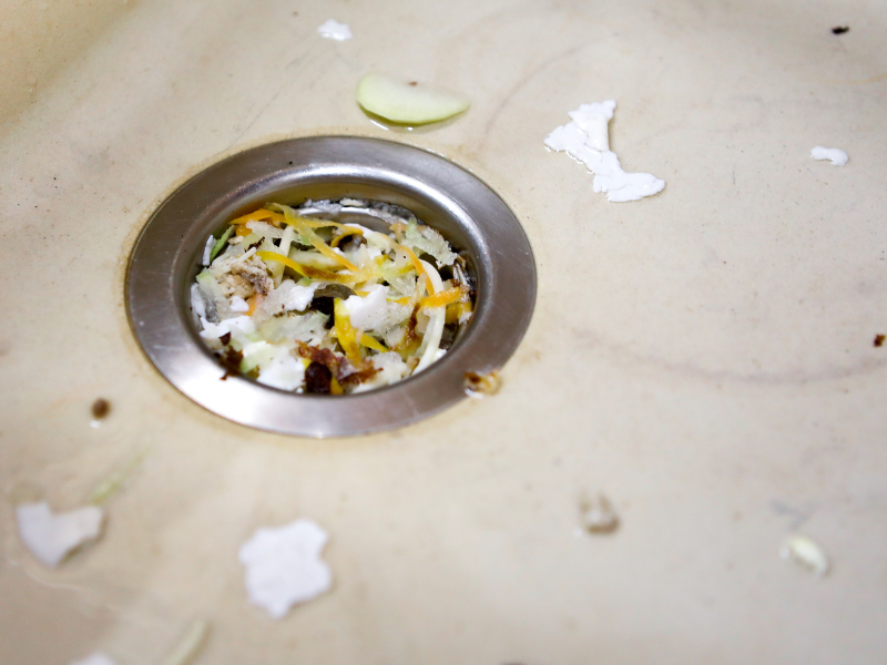 A kitchen sink drain in an Edmonton home is clogged with food scraps. Preventing Clogged Drains and Leaks, expert tips from the plumbers at Habberjam At Home.