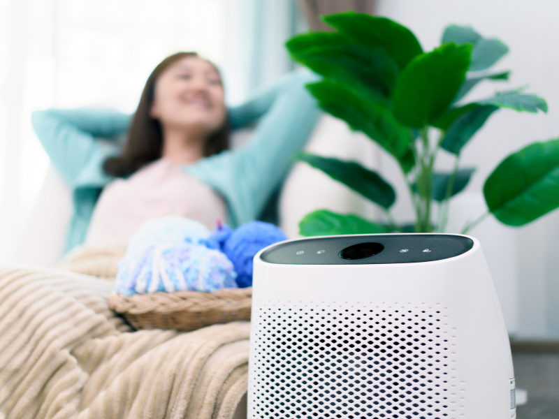 Smart air purifier with real-time air quality monitoring. Top Air Quality Trends for Alberta Homeowners.