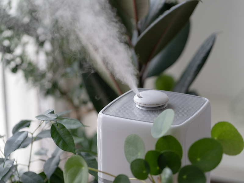Air purifier in an Edmonton living room improving air quality. 